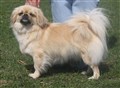 bondmoransdonna3-21-5-11.jpg